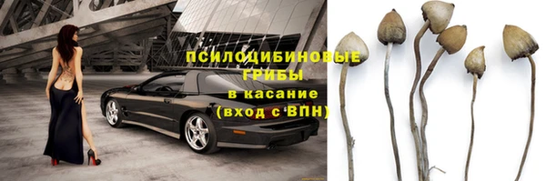 MESCALINE Аркадак