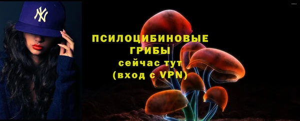 PSILOCYBIN Алексеевка