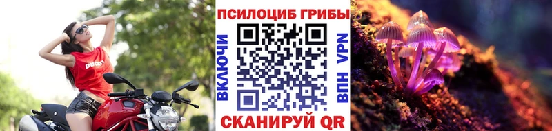 Псилоцибиновые грибы мицелий даркнет сайт Бежецк